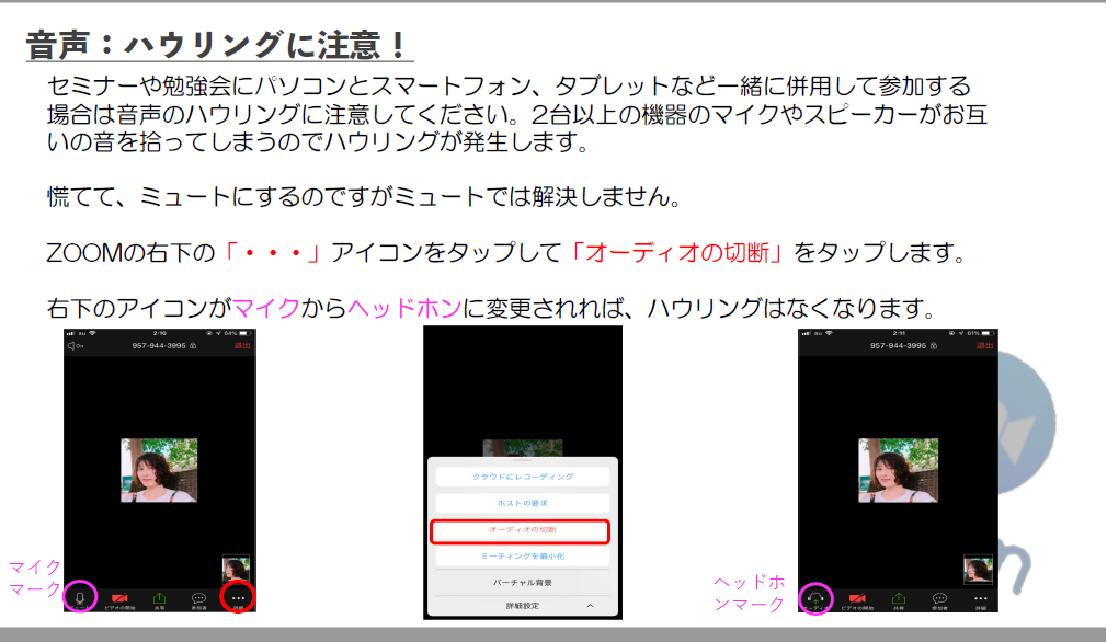 Zoomで ハウリングが起きて キーンと響く音が止まらない場合 の対処法 問題解決 集客苦手でも30 50人を安定集客 Zoomセミナー集客満席法