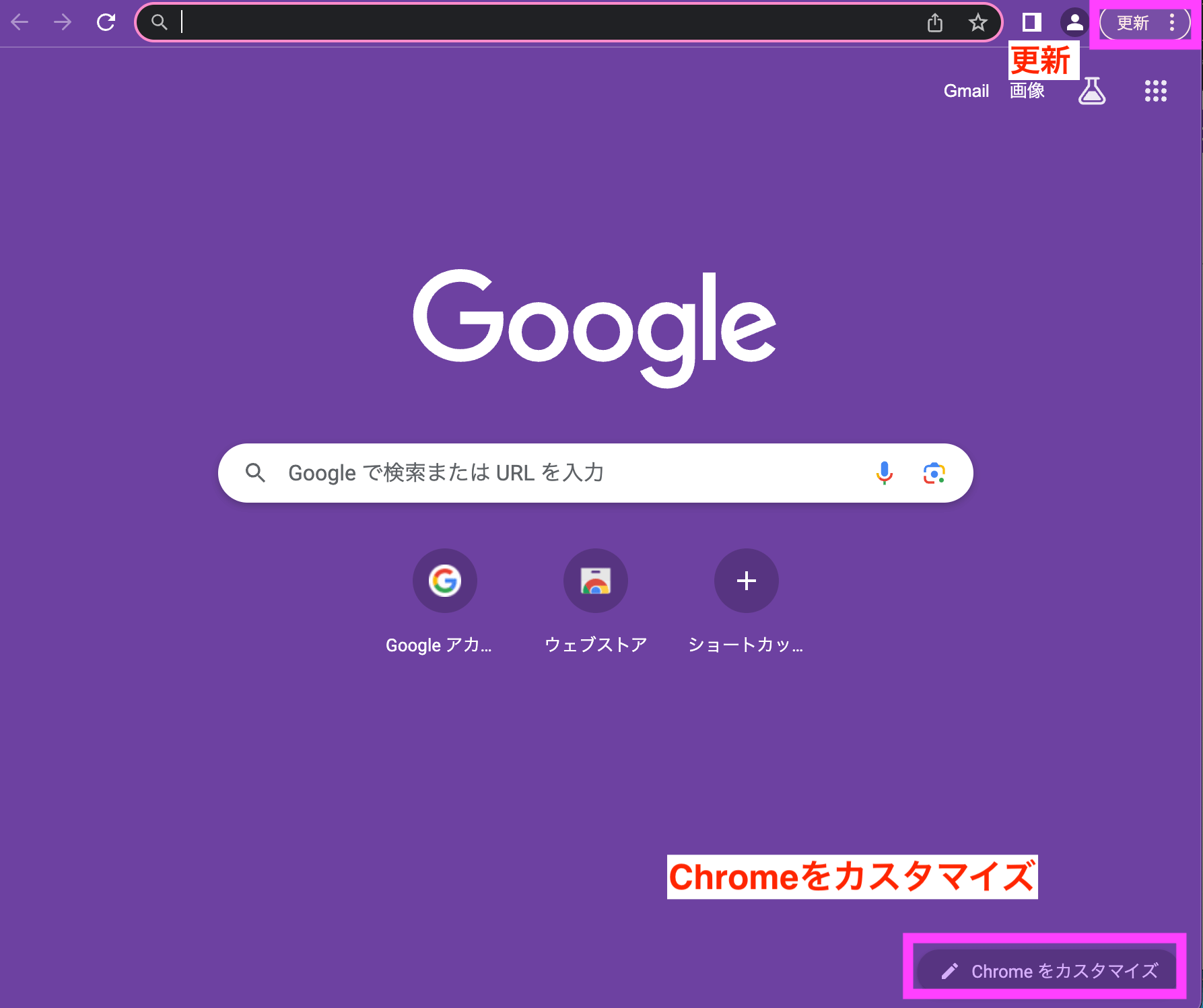 Google Chrome10