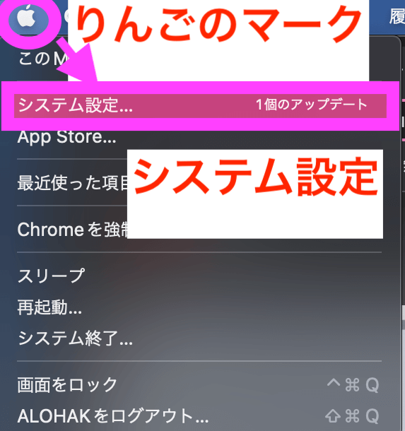 Google Chrome8