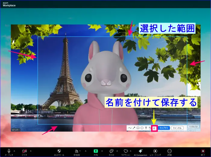 Zoomキャプチャ