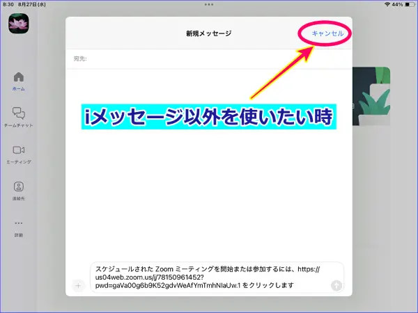 iPadZoom招待