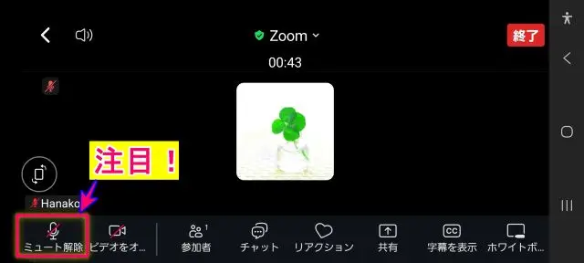 Zoomスマホオーディオ接続