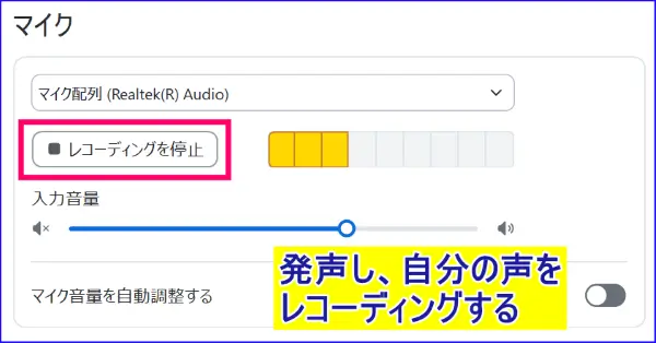Zoomオーディオマイクテスト