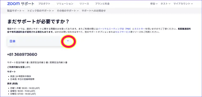 Zoom電話の問い合わせの詳細