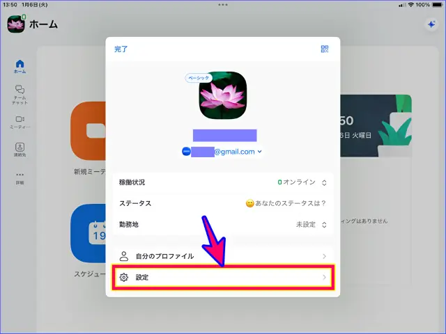 ZoomiPadアプリ設定のウィンドウ